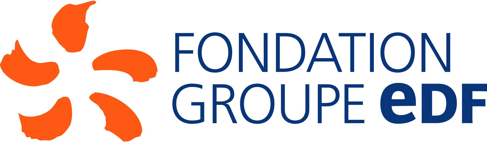 logo_fondation-groupe-edf_RVB