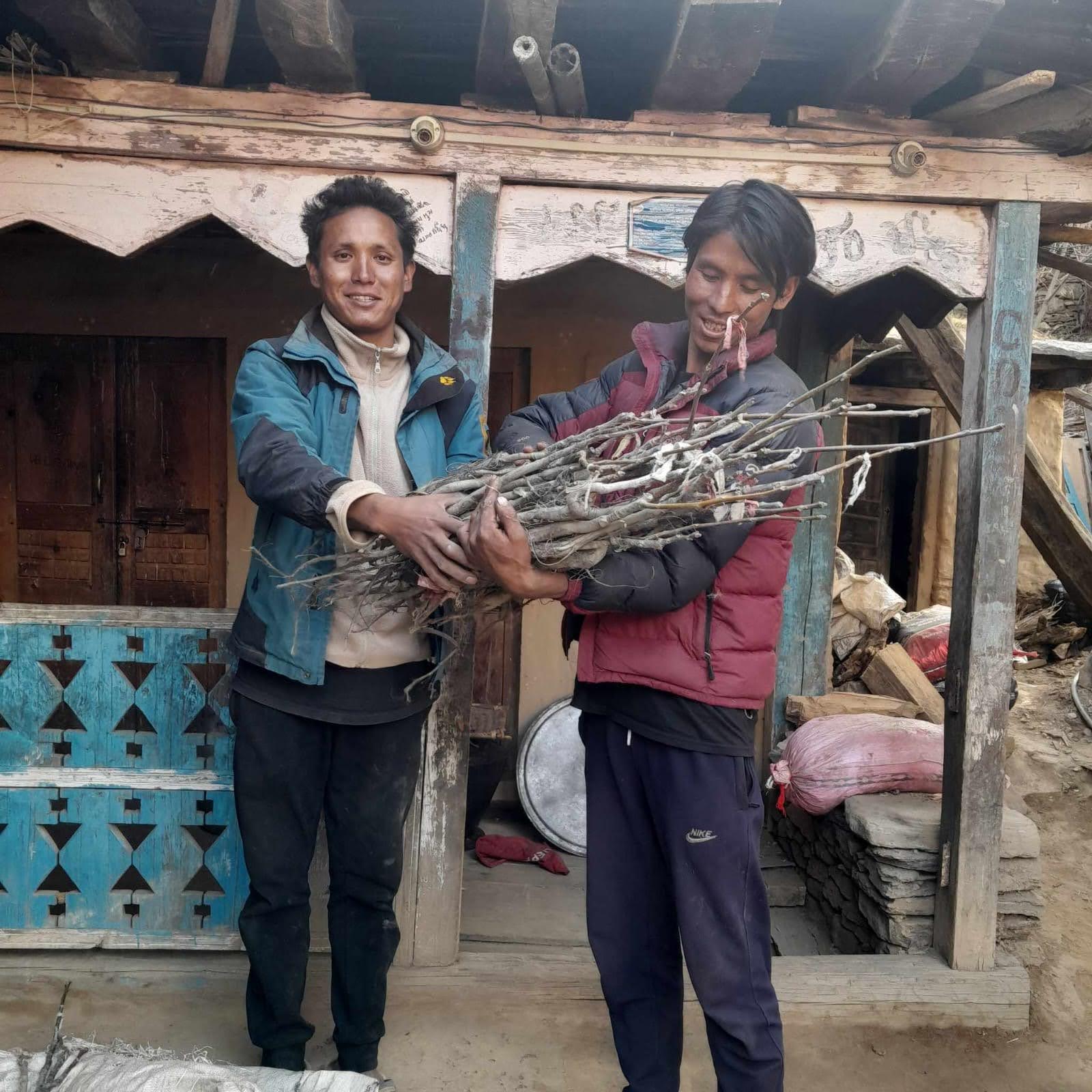 Des vergers au service de l’autonomie des familles du Dolpo
